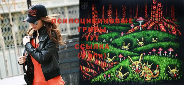 дурь Слюдянка