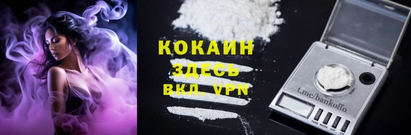 тгк Снежинск