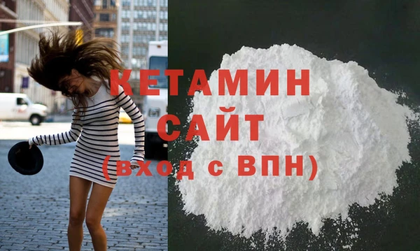 шишки Снежногорск