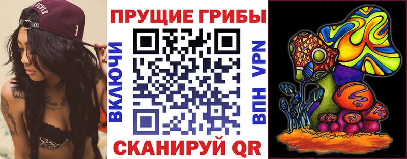 Галлюциногенные грибы Psilocybe  Медвежьегорск 